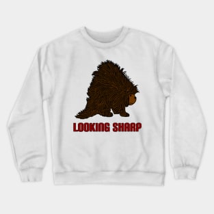 Looking Sharp Porcupine Crewneck Sweatshirt